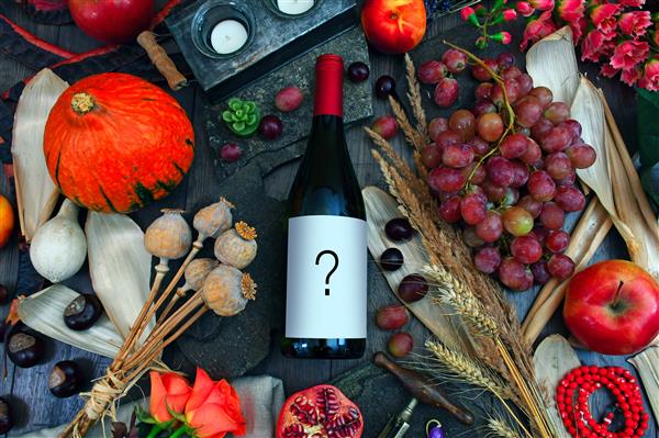 Masterclass 'Els secrets del sentit del gust en el vi'