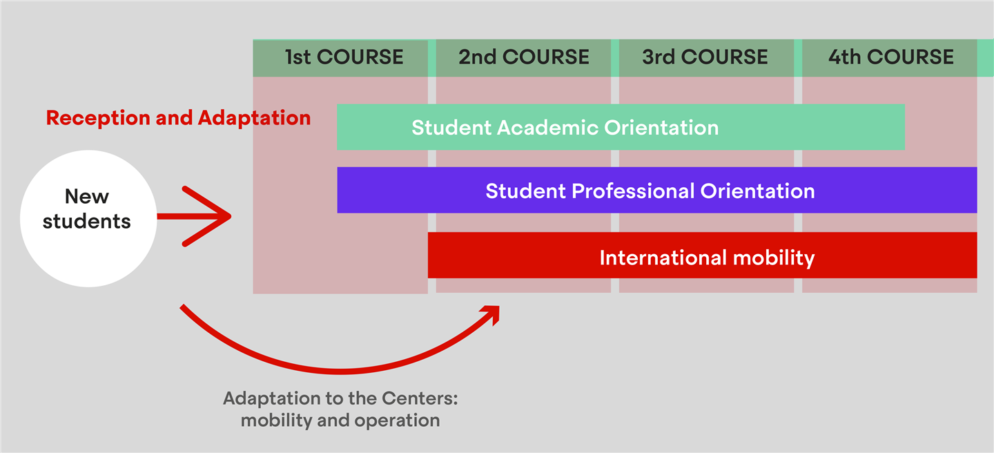 Infographics student orientation