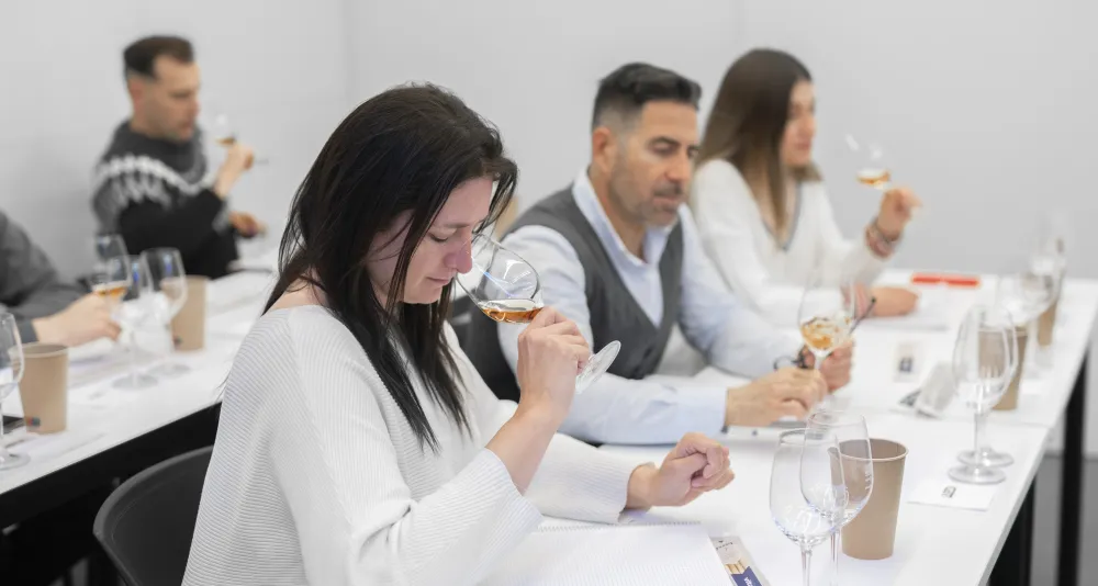 Sommelier Classrooms
