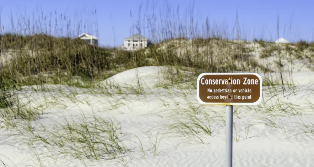 De la reflexió a lacció