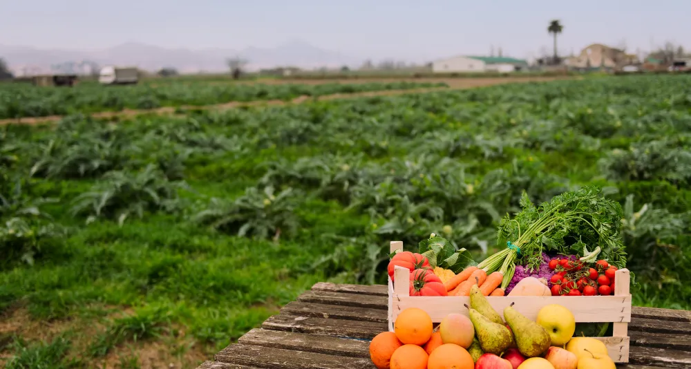 Territorio, deporte y turismo