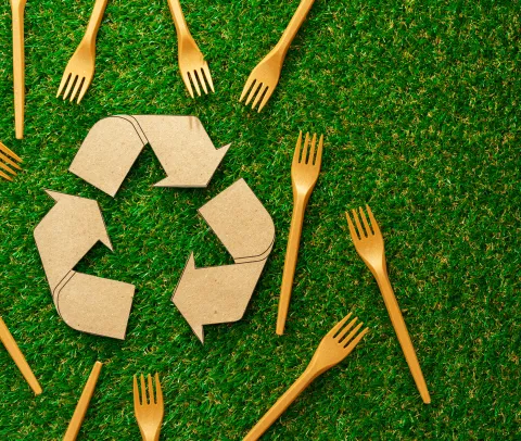 gastronomiaaplicada_cett