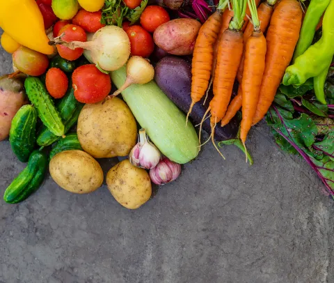 microdencial-gestion-gastronomica-y-ambiental_cett