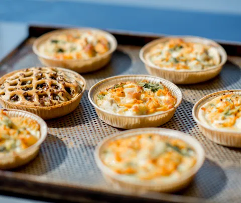 subvencionada_salats_cett