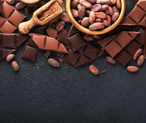 subvencionada_xocolata_cett