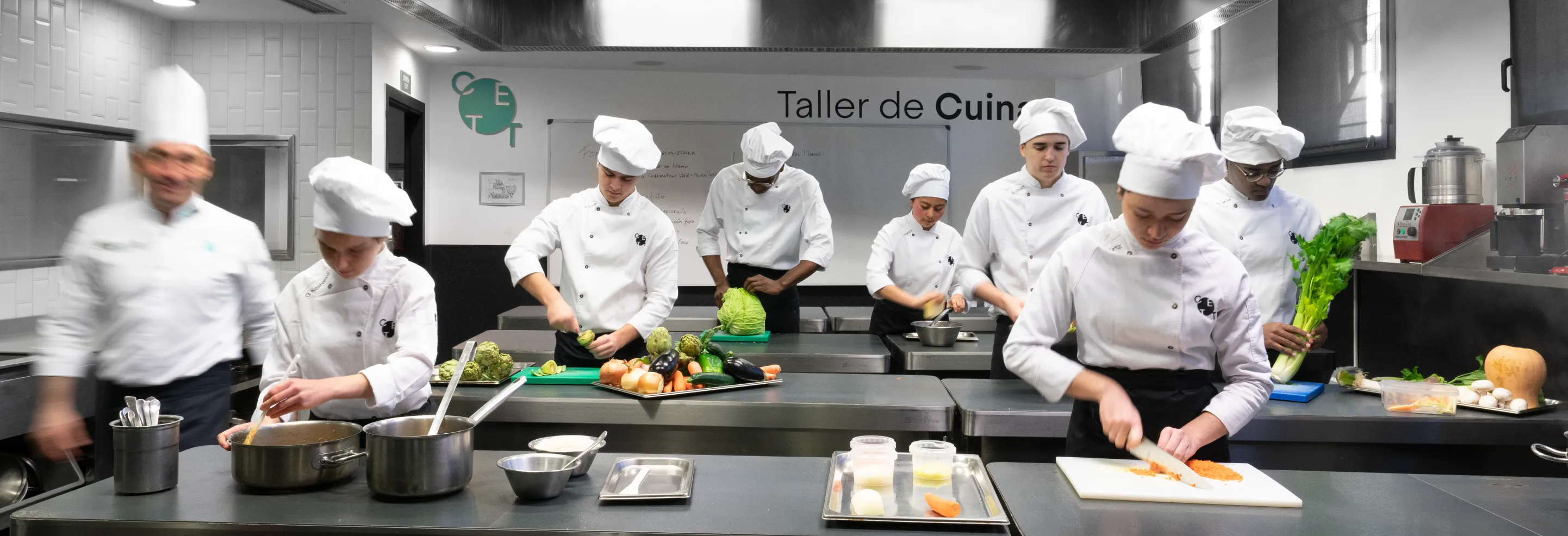 Grado en Ciencias Culinarias y Gastronómicas