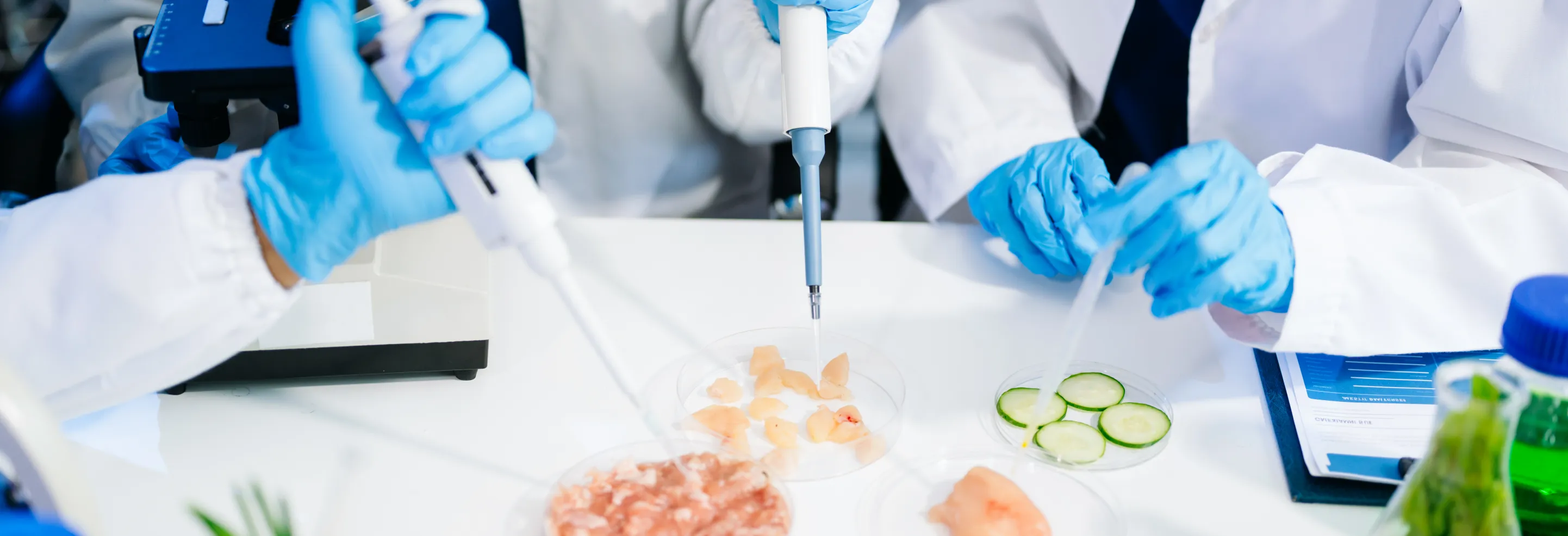 cienciaalimentos_cett