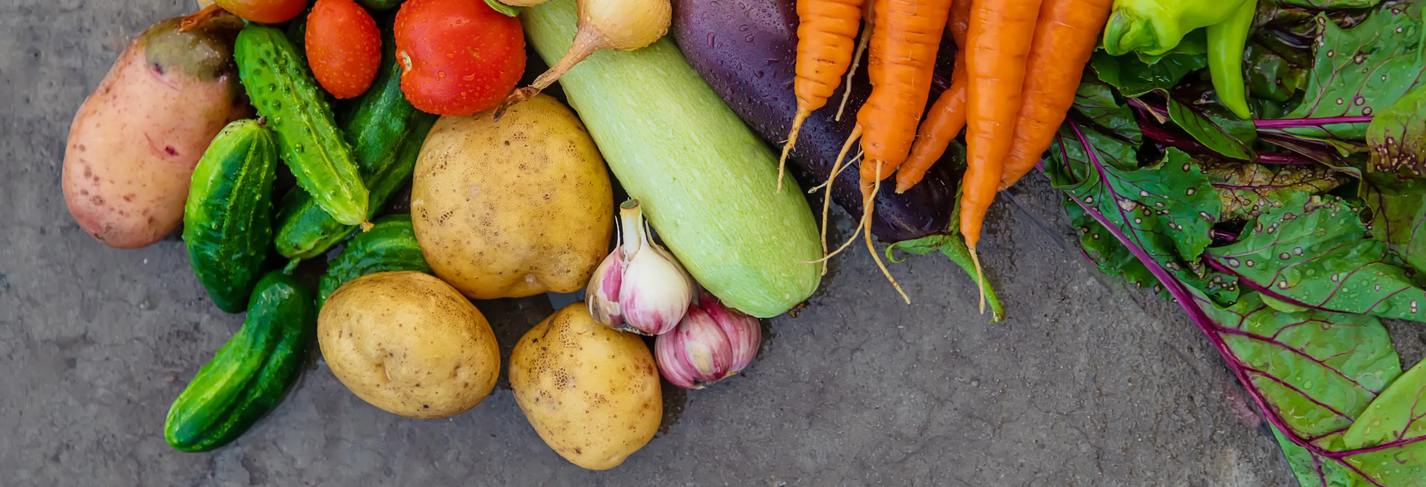 microdencial-gestion-gastronomica-y-ambiental_cett