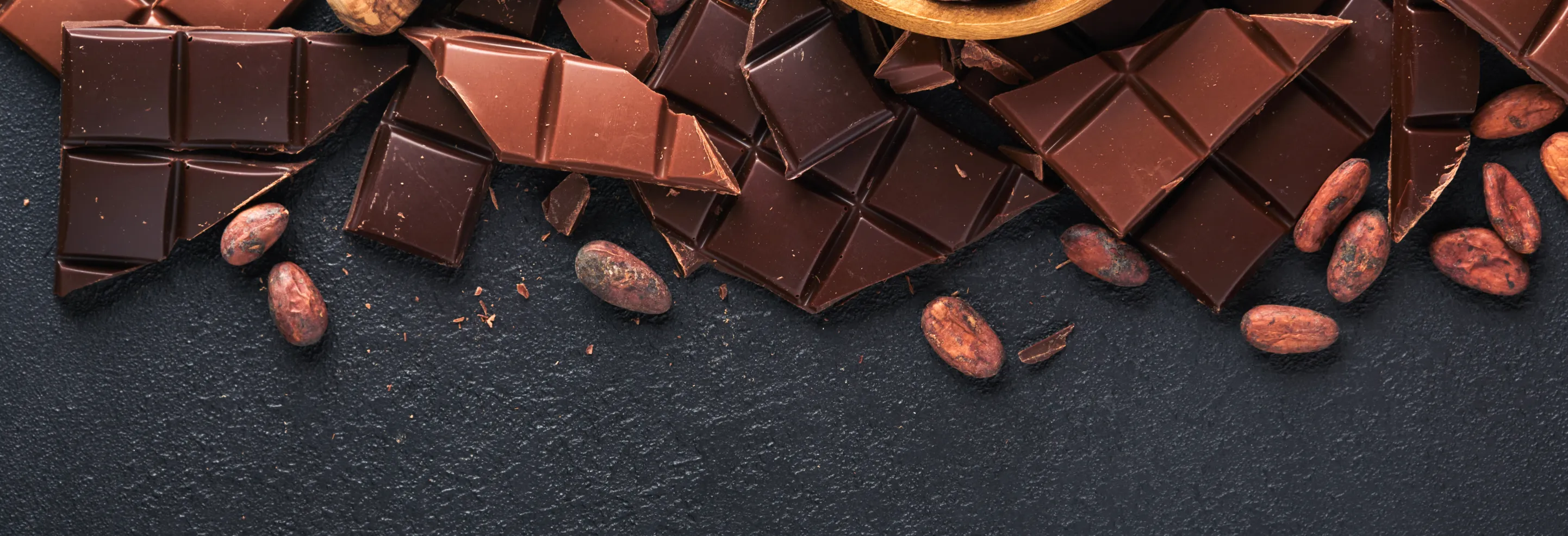 subvencionada_xocolata_cett