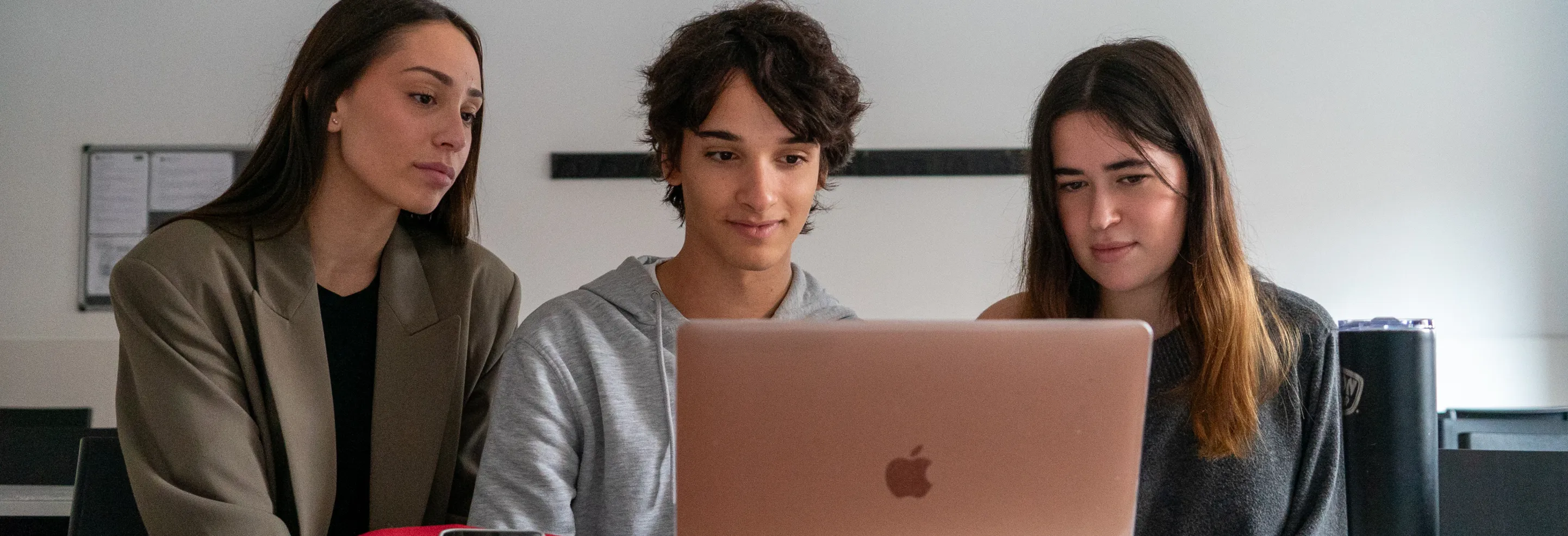 Grau Superior en Administració i Finances