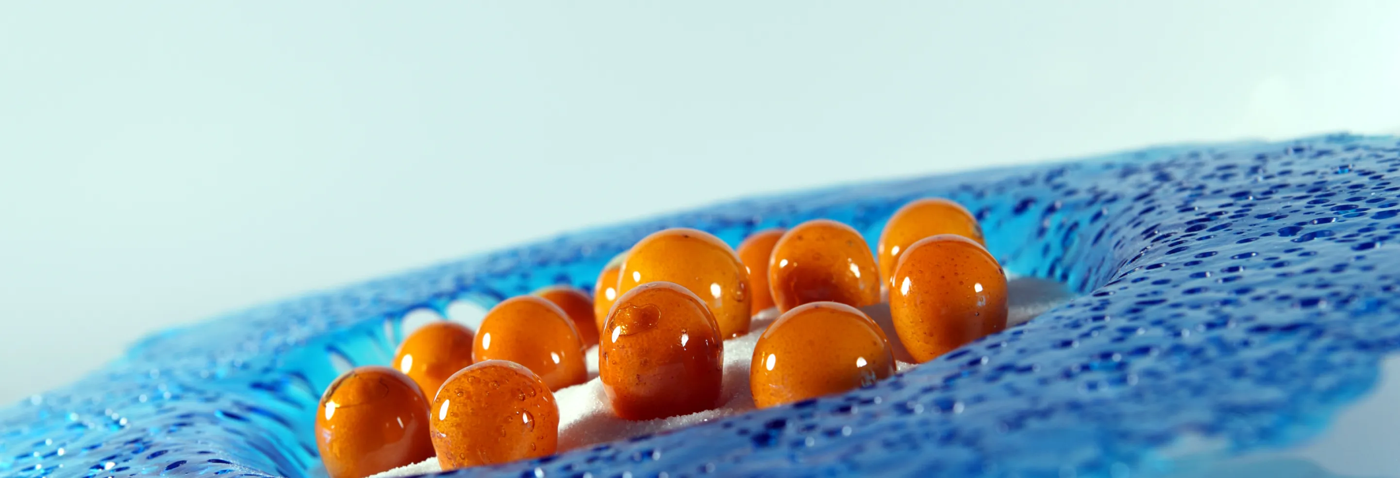 Escribà Microcredencial Carmel