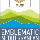 Logo Y4EMM