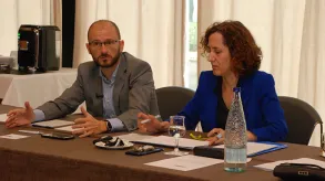 Texto alternativo aquí