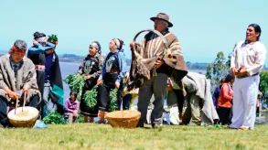 Texto alternativo aquí