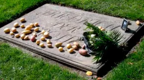 Texto alternativo aquí