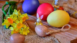 Texto alternativo aquí