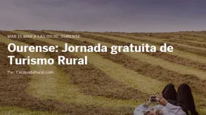 Texto alternativo aquí