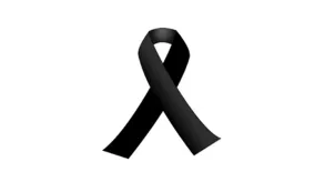 Texto alternativo aquí