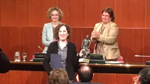 Texto alternativo aquí