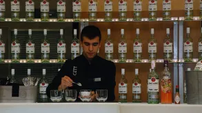 Texto alternativo aquí