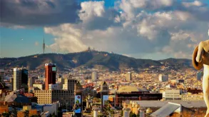 Texto alternativo aquí