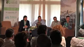 Texto alternativo aquí