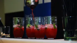 Texto alternativo aquí