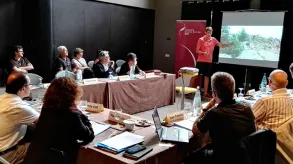 Texto alternativo aquí