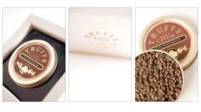 Texto alternativo aquí