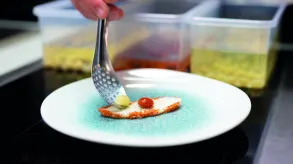 Texto alternativo aquí