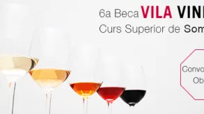 Texto alternativo aquí