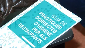 Texto alternativo aquí