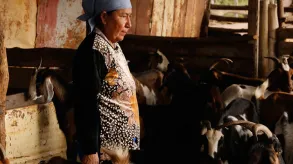 Texto alternativo aquí