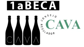 Texto alternativo aquí