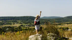 Texto alternativo aquí