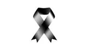 Texto alternativo aquí