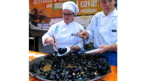 Texto alternativo aquí