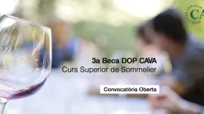 Texto alternativo aquí