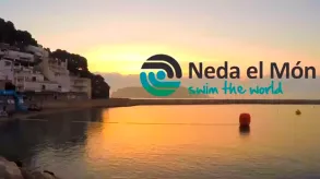 Texto alternativo aquí