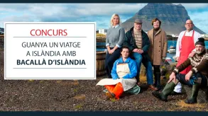 Texto alternativo aquí