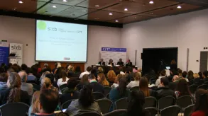 Texto alternativo aquí