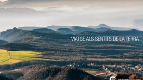 Texto alternativo aquí