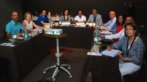 Texto alternativo aquí