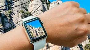 Texto alternativo aquí