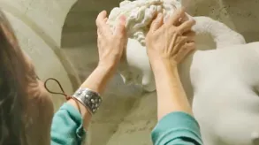 Texto alternativo aquí