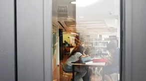 Texto alternativo aquí