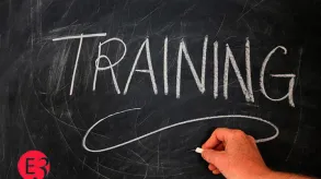 Texto alternativo aquí