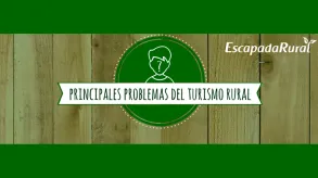 Texto alternativo aquí