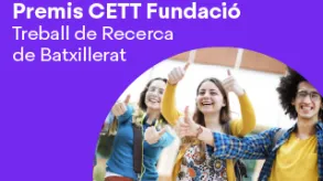 Texto alternativo aquí