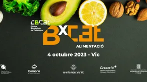 Texto alternativo aquí